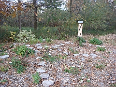 03 Shiawassee National Wildlife Refuge [2008 Nov 5]